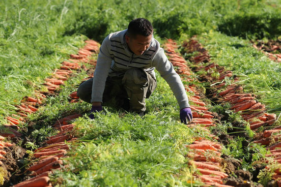 1760062891129594.jpg 赤峰5.jpg