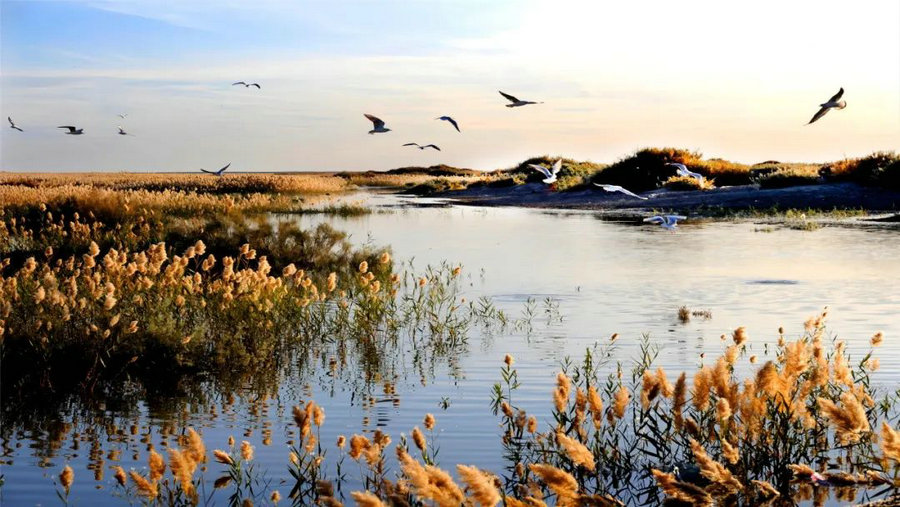 1763003560101598.jpg 640 (20).jpg