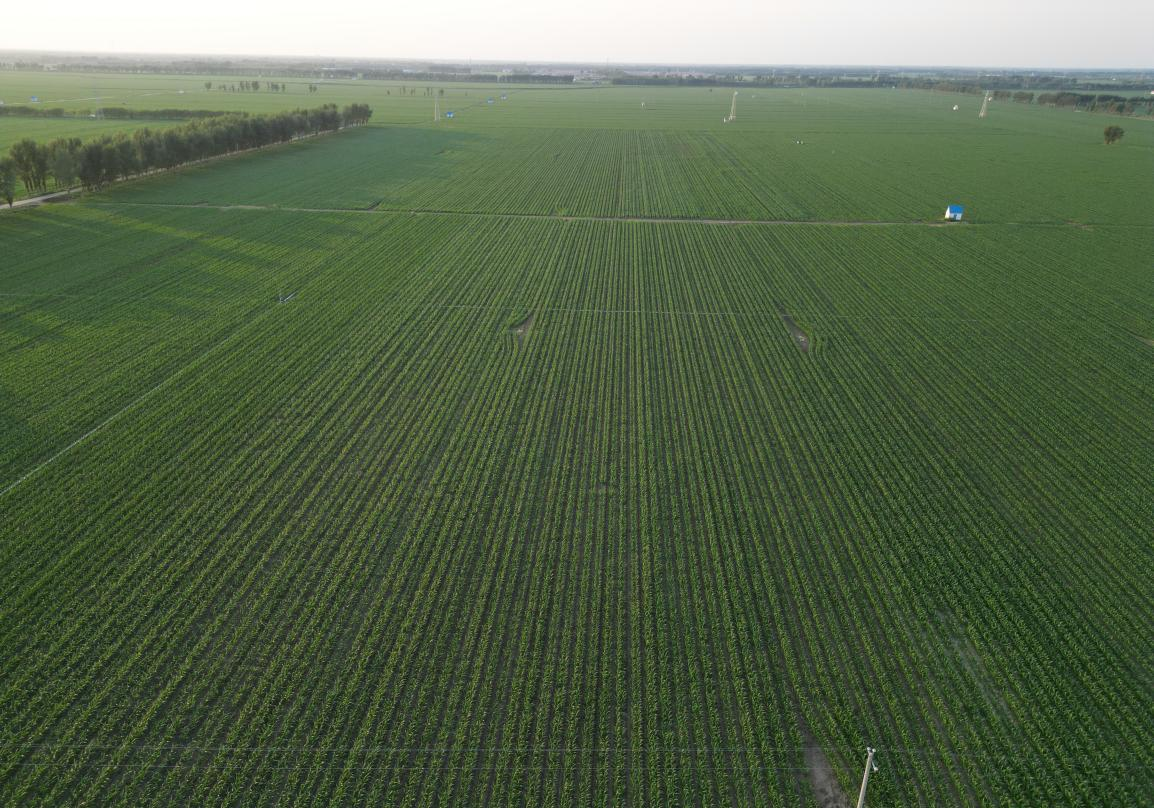 1765529250180044.png 糧食3.png