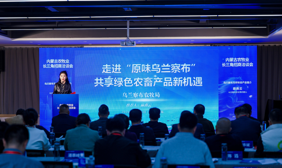 1768574809924666.png 圖片5.png