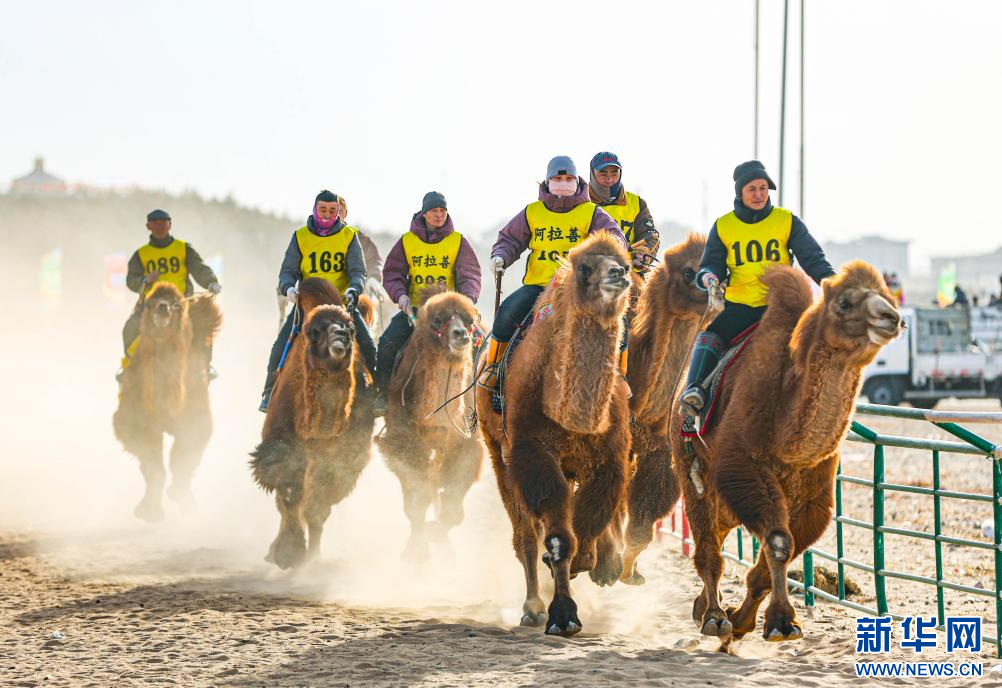 3月7日，賽駝手在6000米成年駱駝場地速度賽比賽中。.jpg