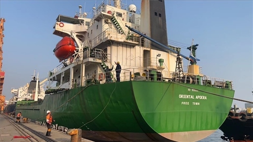 中蘇海運直航貨輪靠泊蘇里南碼頭。中國駐蘇里南大使館供圖