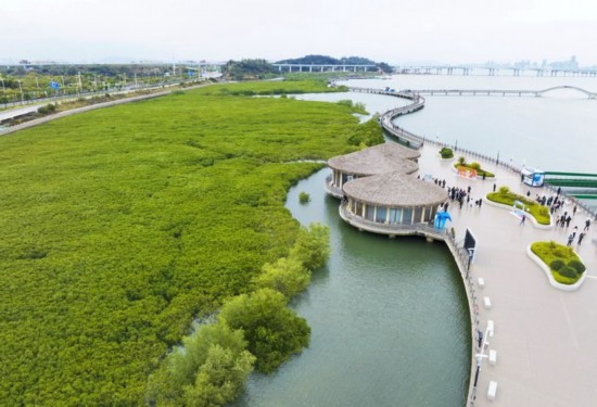 2024年1月23日拍攝的廈門市翔安區(qū)下潭尾紅樹林公園（無人機(jī)照片）。新華社記者 林善傳 攝