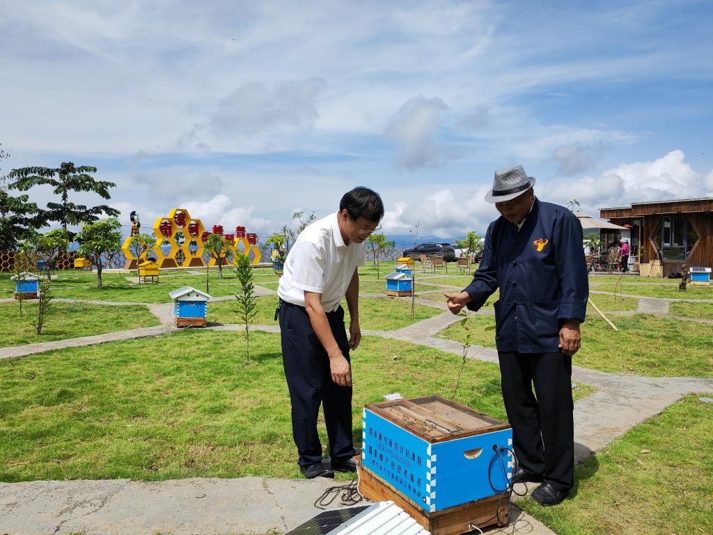 8月17日，中國農(nóng)業(yè)科學(xué)院蜜蜂研究所研究員黃家興（左）向巖翁介紹智能化蜜蜂飼養(yǎng)蜂箱。新華社記者吉哲鵬 攝