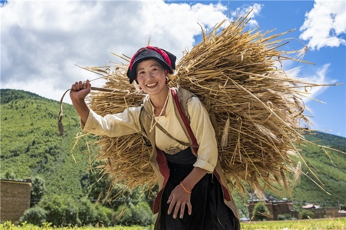 康定市甲根壩鎮(zhèn)青稞豐收，農(nóng)牧民臉上洋溢著豐收的喜悅。林革文攝