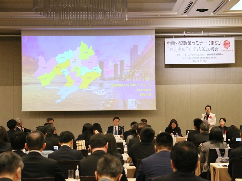 地方代表進(jìn)行專題投資推介。人民網(wǎng) 許可攝