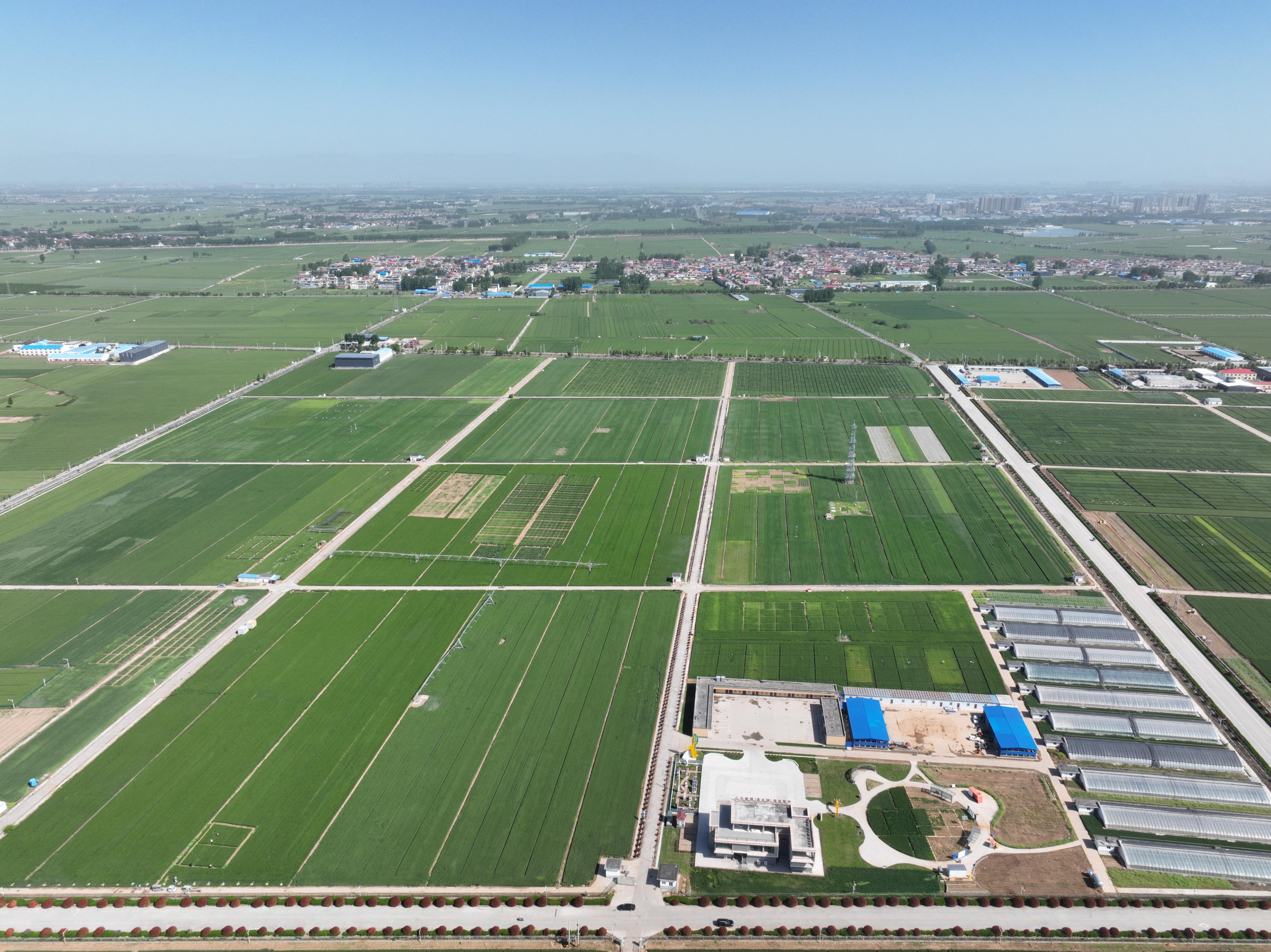 俯瞰水利部灌溉試驗(yàn)總站試驗(yàn)研究基地。受訪(fǎng)者供圖